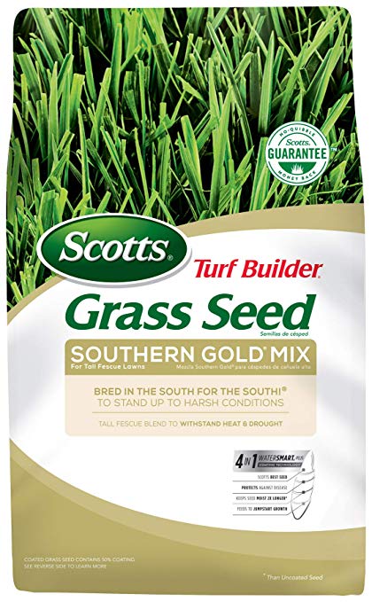 Scotts Turf Builder Grass Seed - Southern Gold Mix for Tall Fescue Lawns, 20-Pound (Sold in select Southern states)