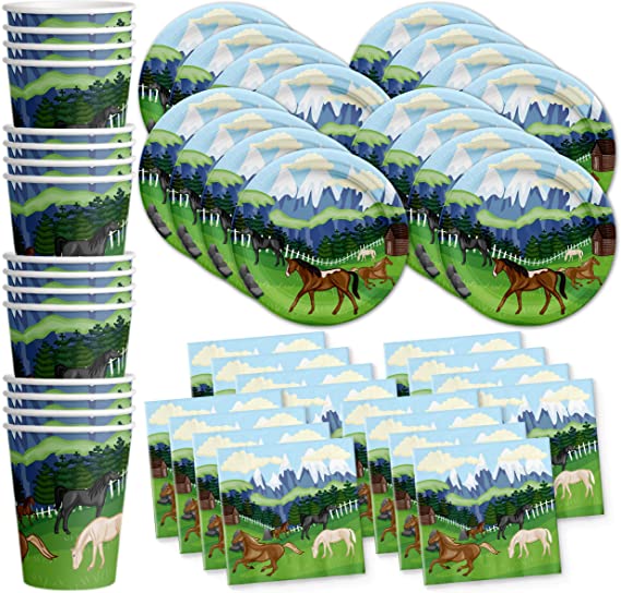 Wild Horses Birthday Party Supplies Set Plates Napkins Cups Tableware Kit for 16
