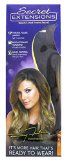 Secret Extensions By Daisy Fuentes Hair Extensions As Seen on TV Light Brown