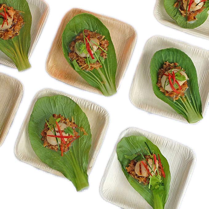 Thynk Palm Leaf Plates - 4.5 Inch Square Mini Tasting Plates - All Natural 100% Biodegradable and Compostable - Disposable Dinnerware - Perfect Party Plates - 20 Count