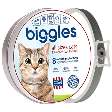 Biggles Safe and Effective Pet Collar Pest Control Collars with Essential Oil Prevention for Cats and Kittens Cat Treatment 25 inches 8 Months Protect Fits All