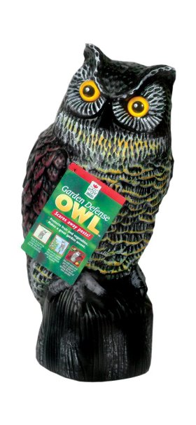 Easy Gardener 8001 Garden Defense Owl