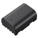 Panasonic DMW-BLF19 Lithium-Ion Battery Pack Black
