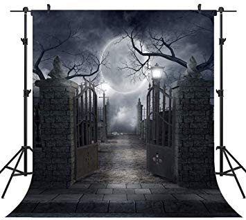 OUYIDA 8X8FT Halloween Theme Pictorial Cloth Seamless Customized Photography Backdrop Background Studio Prop TP17B
