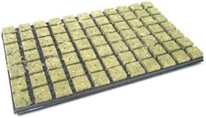 Grodan rock wool propagation mat 77-Piece Tray 3.6 x 3.6 cm