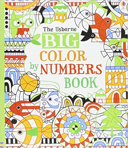 Big Color by Numbers Book