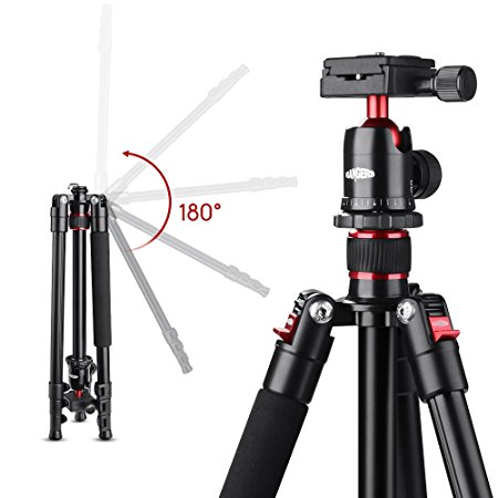 Rangers 62" Portable Professional Aluminium Tripod with 360° ABS Ball Head Quick Release Plate with bubble level for DSLR Cameras RA068