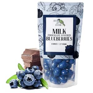 Green Jay Gourmet Milk Chocolate Blueberries - Handmade & Fresh Milk Chocolate Covered Blueberries from Michigan - Great Gift for Chocolate Lovers - 8 Ounce Resealable Bag