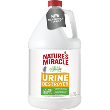 Nature's Miracle Dog Urine Destroyer