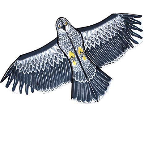 HENGDA KITE New 60-Inch Edge Eagle Kite