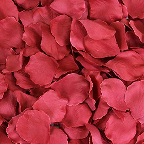 Koyal Wholesale 200-Pack Silk Rose Petals, True Red