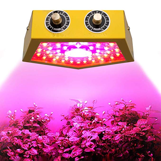 1000W LED Grow Light for Indoor Plant, Adjustable Full Spectrum Plant Light Growing Lamps with Veg and Bloom for Basement Planting（Yellow）