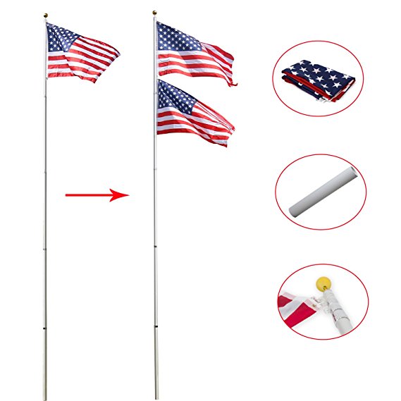 Peach Tree Basic Portable Commercial Flag Pole Outdoor Garden Construction Heavy Duty Aluminum Alloy with two USA flags, Silver (16ft)