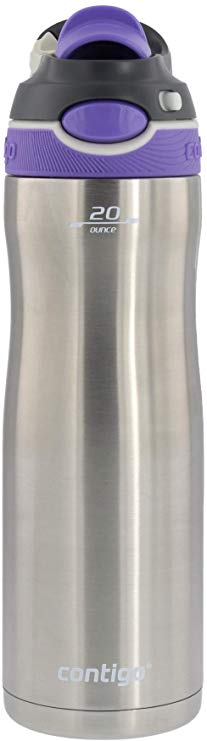 Contigo Autospout Chug Chill Stainless Steel Water Bottle with Vacuum Insulation - Ideal for Outdoor Lifestyles, Travel, Gym - BPA-Free, Leak-Proof, Carry Handle & Spout Cover, 20oz - Grapevine