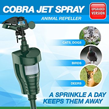 Hoont Cobra Powerful Outdoor Water Jet Blaster Animal Pest Repeller – Motion Activated - Expels Cats, Dogs, Squirrels, Birds, Deer, Etc. Out of Your Property [UPGRADED VERSION]