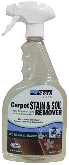 Shaw R2X Carpet Stain & Soil Remover 32 Ounces Spray