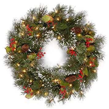 National Tree 24 Inch Wintry Pine Wreath with Cones, Red Berries, Snowflakes and 50 Battery Operated White LED Lights (WP1-300L-24W-B1)