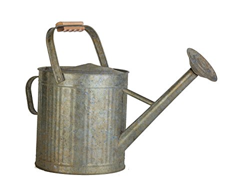 2 gallon Vintage Galvanized Watering Can with Wood Handle