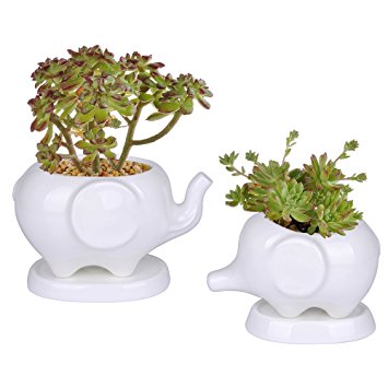 Kawaii Animals Ceramic Flower pot 2 Styles Elephant Succulent Planter Cactus Succulent Plants Flower Cute White Pot (2 Elephants)