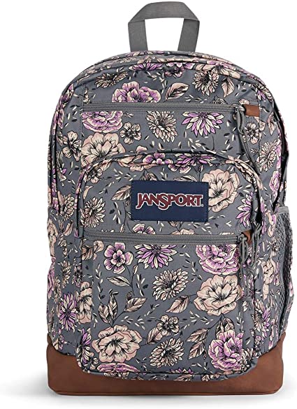 JanSport Daypack Backpacks