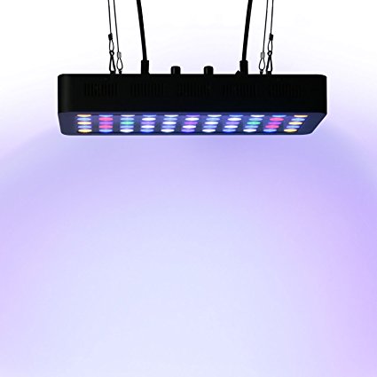 Roleadro Led 55x3w Dimmable 165w Full Spectrum LED Aquarium Light for Reef, Coral & Fish