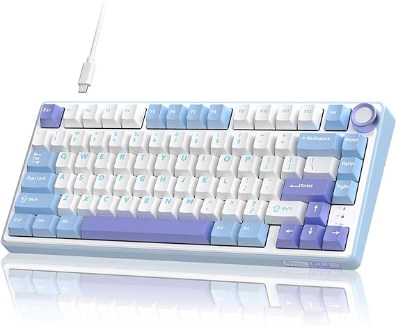 RK ROYAL KLUDGE R75 Mechanical Keyboard Wired with Volumn Knob, 75% TKL Custom Gaming Keyboard Gasket Mount RGB Backlit with Software, Cherry Profile, Hot Swappable Silver Switch, PBT Keycaps