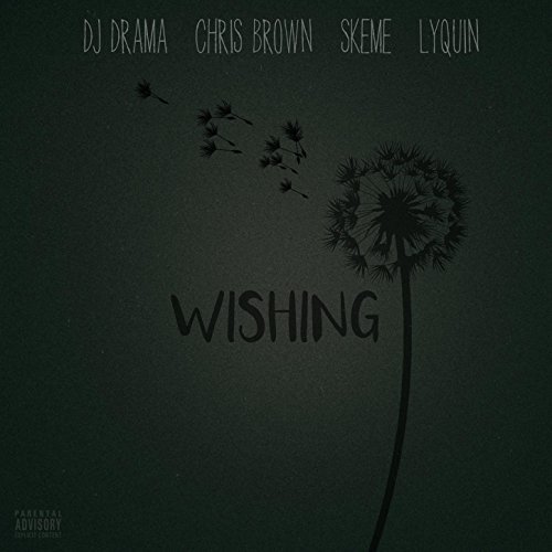 Wishing (feat. Chris Brown, Skeme & Lyquin) [Explicit]