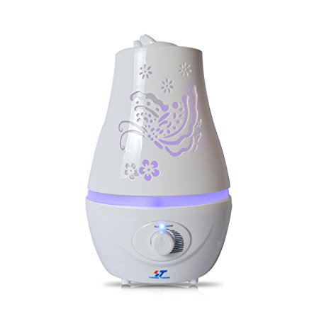 Yongtong 2.2L Room Humidifier Essential Oil Aroma Diffuser, 360 Degree Cool Mist Whisper-quiet Ultrasonic Mini Air Purifier, with Cozy LED Variable Night Lights for Home Office and Sleeping (White)