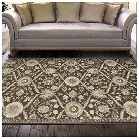 Superior Chandler Collection Area Rug, 8mm Pile Height with Jute Backing, Beautiful Floral Lattice Pattern, Fashionable and Affordable Woven Rugs - 5' x 8' Rug