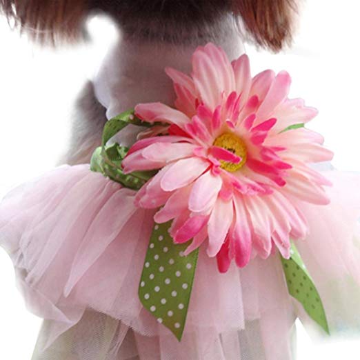 Puppy Clothes,Haoricu Dog Gauze Skirt Pet Dog Cat Princess Bowknot Tutu Dress (M)