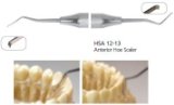 Osung HSA12-13 Dental Anterior Hoe Scaler HSA1213
