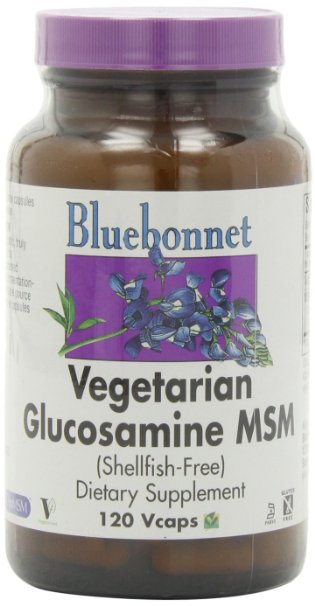 BlueBonnet Vegetarian Glucosamine Plus MSM Supplement 120 Count