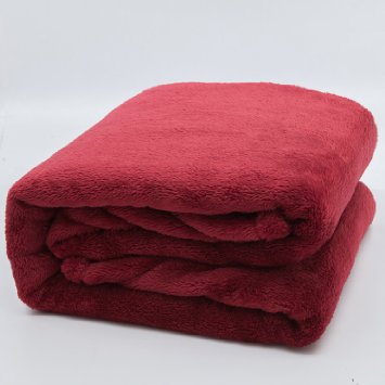 Plush & Velvet Throw Blanket Bed Blanket by Bedsure- 100% Microfiber, Thickened Fluffy and Soft, Twin Full Queen King (90"x90" Burgundy Red)