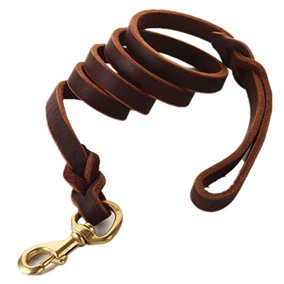 Fairwin Braided Leather Dog Leash 6 Foot - Best Dog Training Leash for Large Medium Small K9 Dogs (1/2" Width, Brown)
