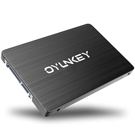 OYUNKEY 120GB SSD SATA III(6.0Gb/s) solid state drive 2.5 Inch 3D NAND SSD Internal Hard Drive for Laptop PC Desktop (E PRO-120)