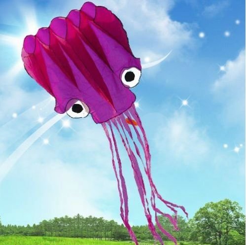 5M Large Octopus Parafoil Kite with Handle & String Outdoor Park Garden Games Fun