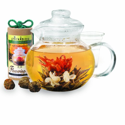 Primula 40-Ounce Glass Teapot with Infuser and Lid with 12 Flowering Teas in a Canister