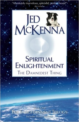 Spiritual Enlightenment, the Damnedest Thing: Book One of The Enlightenment Trilogy