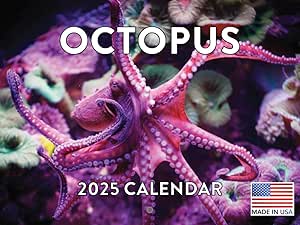 Octopus Ocean 2025 Wall Calendar | American Made In The USA