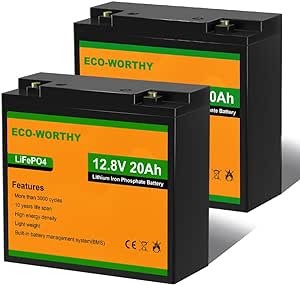 ECO-WORTHY 2 Pack 12V 20Ah Lithium Battery, 3000  Deep Cycle Rechargeable LiFePO4 Lithium Ion Phosphate Battery with BMS for Trolling Motor, Fish Finder, Kids Scooters, Power Wheels, Outdoor Camping