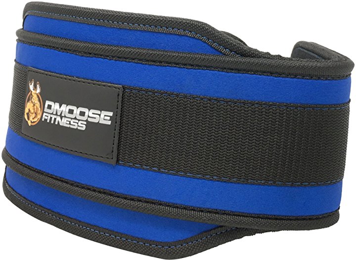 Premium Dip Belt with Chain by DMoose Fitness (Blue)