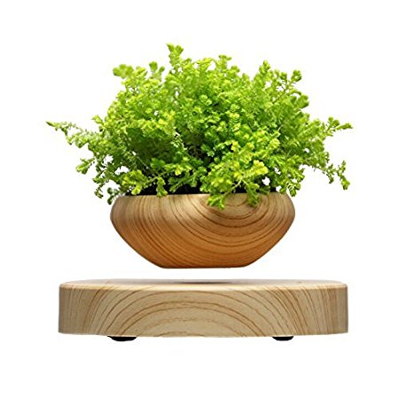 Levitating Air Bonsai Pot - Magnetic Levitation Suspension flower and air bonsai pot