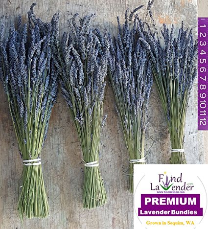 Findlavender - Lavender Dried Premium Bundles - 18"- 20" L - (4 Bundles) - 2015 Harvest
