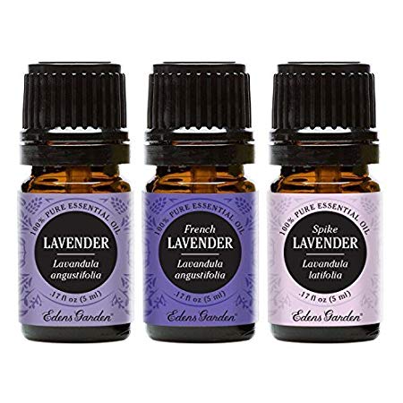 Lavender, French Lavender, and Spike Lavender Essential Oil (100% Pure, Undiluted Therapeutic/Best Grade) Premium Aromatherapy Oils by Edens Garden- 5 ml