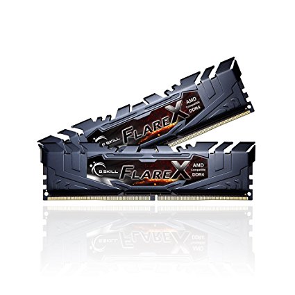 G.SKILL Flare X Series 16GB (2 x 8GB) 288-Pin DDR4 SDRAM DDR4 3200 (PC4 25600) AMD X370 Memory Model F4-3200C14D-16GFX