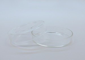 SEOH Petri Dish (mm) 60 - Borosilicate Glass