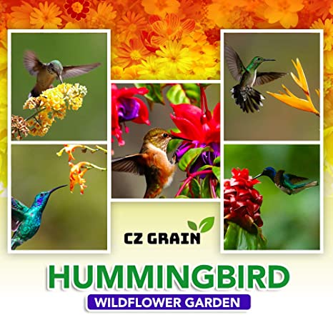 Hummingbird Wildflower Seed Mix -Perennial Garden for Hummingbirds - Easy to Grow, Open Pollinated Seeds - Perennial Wildflower Mix Formulated for Hummingbirds