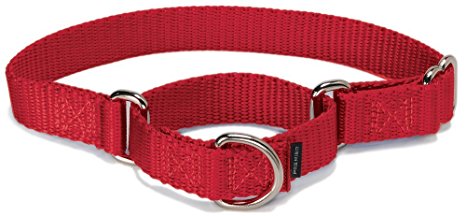 PetSafe Petite Martingale Collar