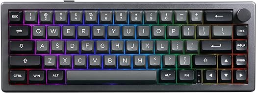 EPOMAKER EK68 65% Gasket NKRO Hot Swappable 2.4Ghz/Bluetooth 5.0/USB-C Wired Mechanical Gaming Keyboard with Knob, South-Facing LED, 3000mAh Battery, RGB Backlight for Win/Mac (Flamingo Switch)