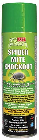 Spider Mite Knockout